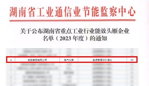 喜訊|威勝集團上榜湖南省能效“頭雁”企業(yè)名單