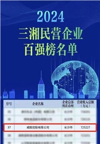 喜訊｜威勝控股上榜2024三湘民營企業(yè)百強榜單，排名第37位